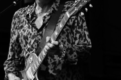 Don Felder