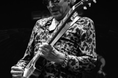 Don Felder
