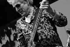 Don Felder
