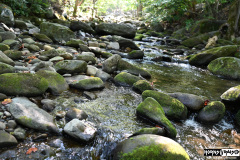 Stream near the hotel