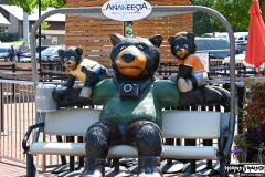 Bears everywhere
