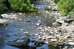 Stream in town