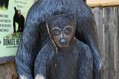 Bears everywhere