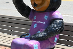 Bears everywhere