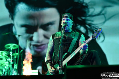 Falling In Reverse