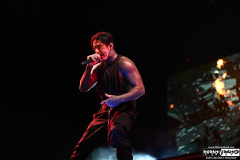Falling In Reverse