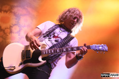 The Dead Daisies