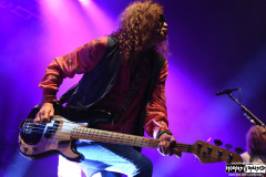 The Dead Daisies