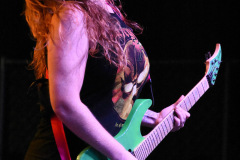 The Iron Maidens