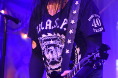 W.A.S.P.