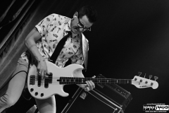 Nerd Halen