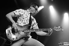 Nerd Halen