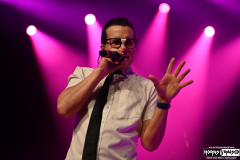 Nerd Halen
