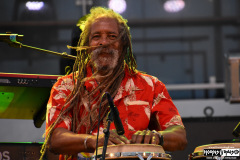 The Skatalites