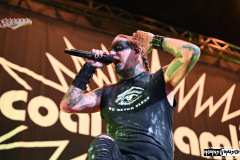 Coal Chamber