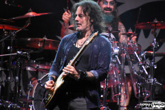 The Winery Dogs