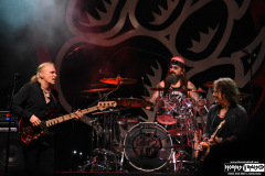 The Winery Dogs