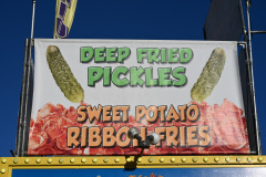 Florida State Fair 2026