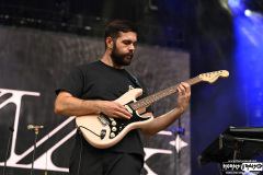 Foxing