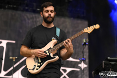 Foxing