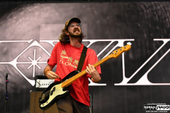 Foxing