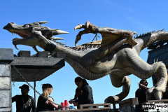 Gasparilla Parade 2025