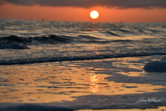 Golden Hour