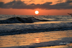 Golden Hour