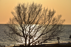 Golden Hour