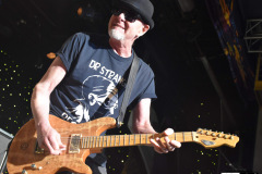 Great White