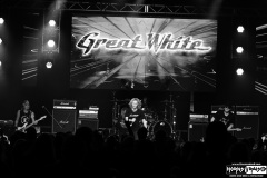 Great White