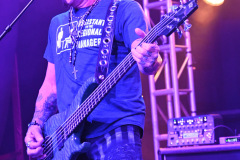 Great White