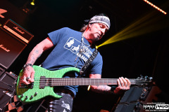 Great White