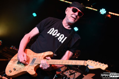Great White