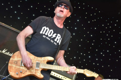 Great White