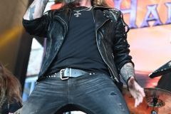 HammerFall