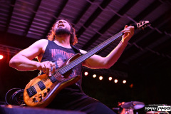Havok