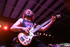 Havok