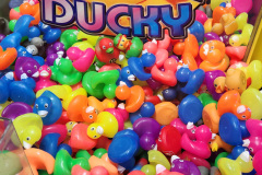 Arcade ducks