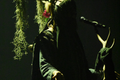 Heilung