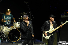 Honeymoon Suite | August 26, 2025 | On The Blue Cruise