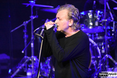 Honeymoon Suite