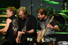 Honeymoon Suite