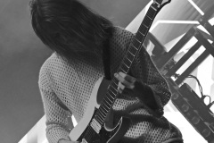 Invent Animate