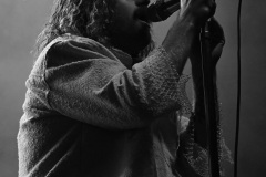 Invent Animate