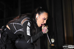 Jinjer