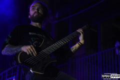 Jinjer