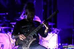 Jinjer