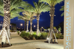 Coachman Park