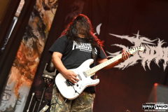 Judiciary